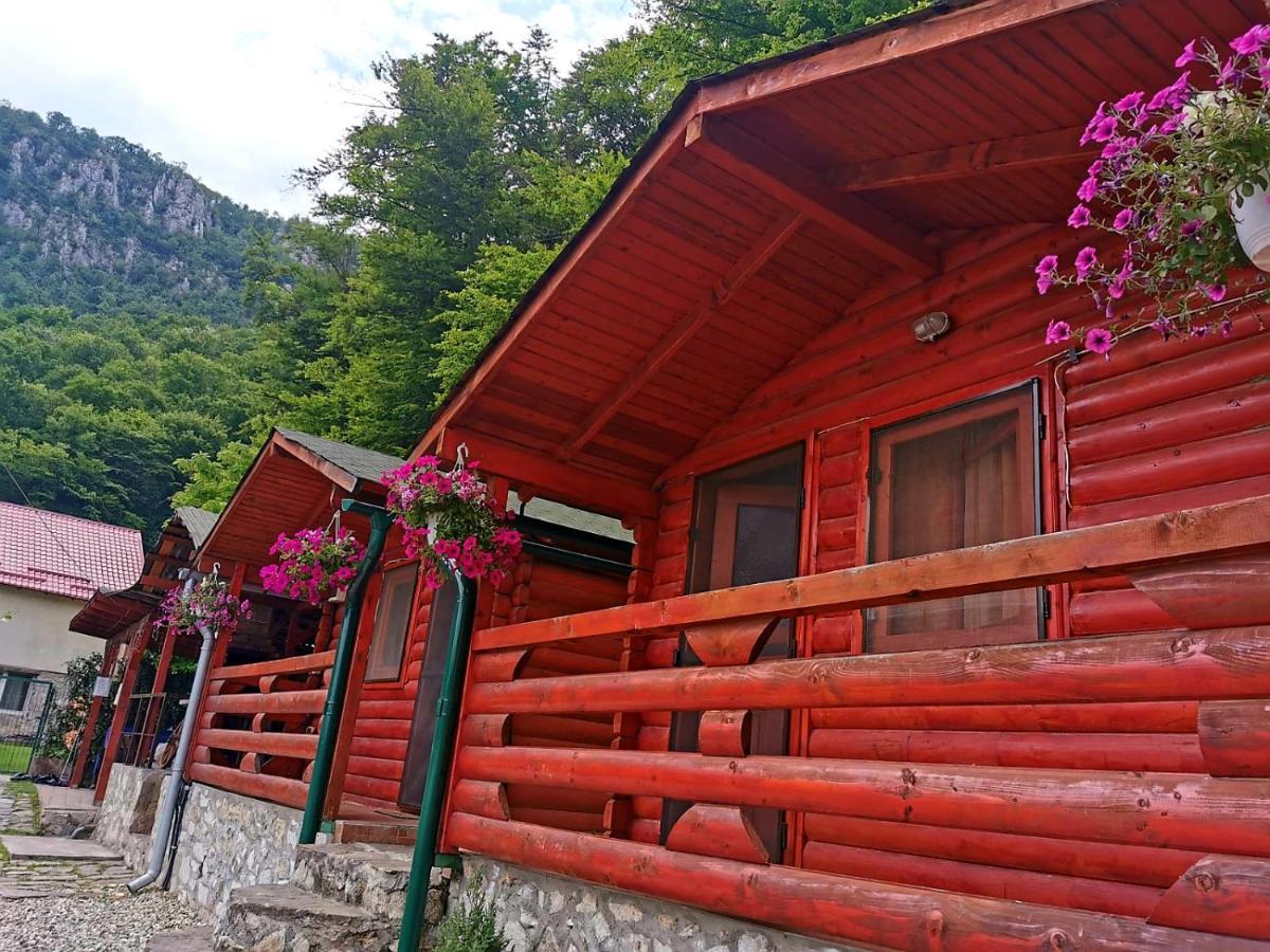 Casa Beasarah. Villa Dubova Dış mekan fotoğraf
